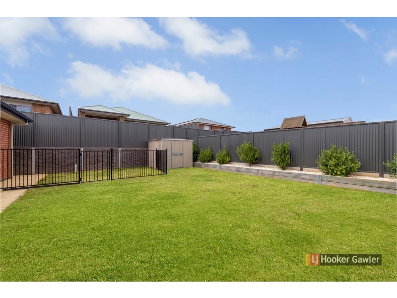 35 Campbell Circuit, Gawler East SA 5118