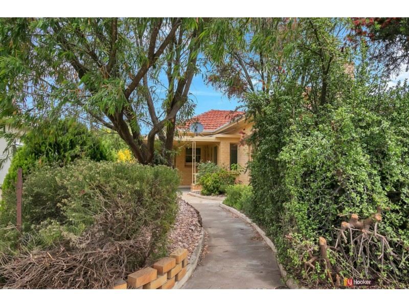 25 Old Kapunda Road, Nuriootpa SA 5355