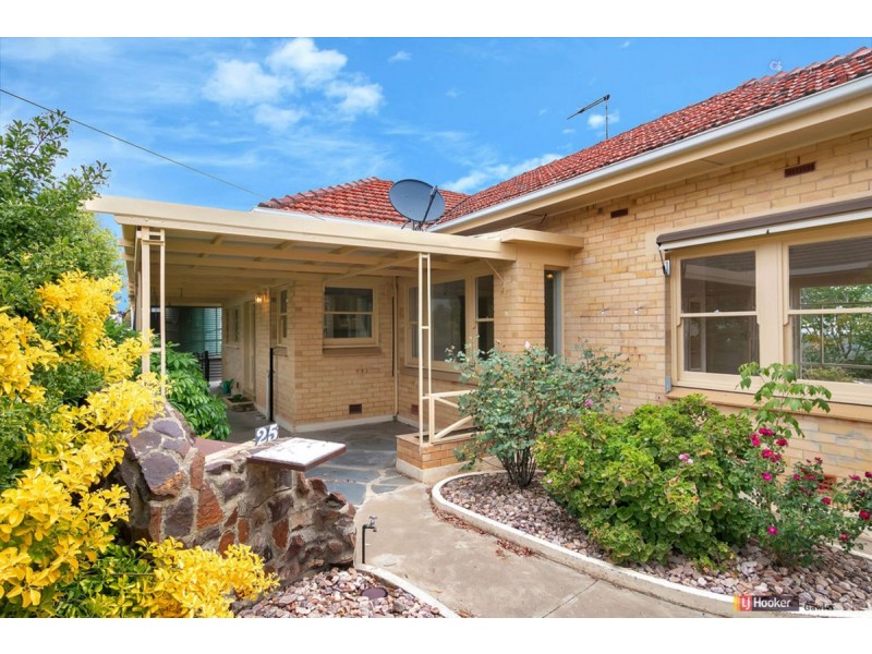 25 Old Kapunda Road, Nuriootpa SA 5355