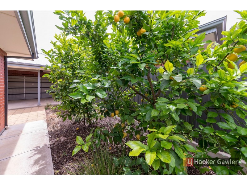 13B Barber Street, Willaston SA 5118