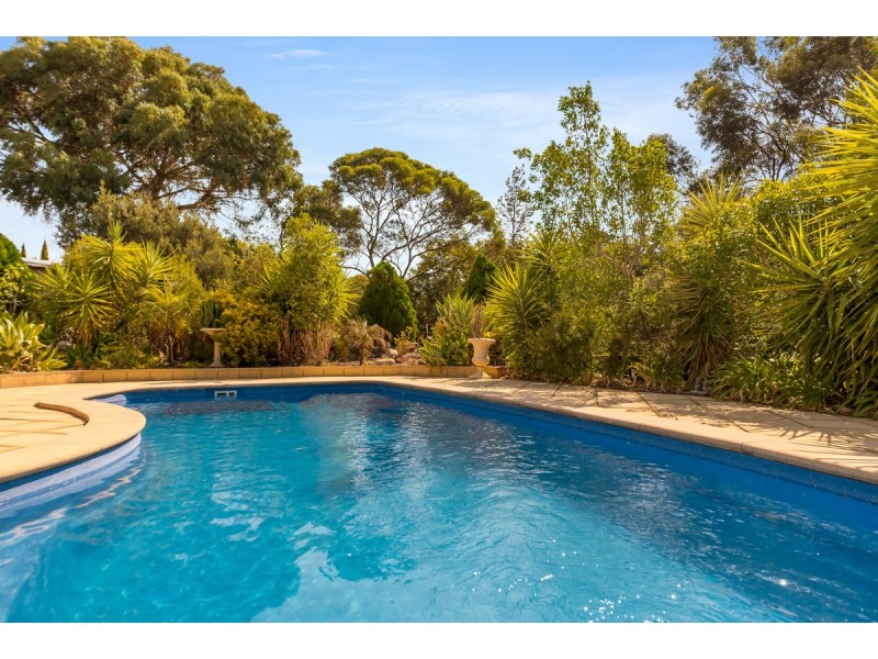 20 Sunnydale Avenue, Gawler East SA 5118