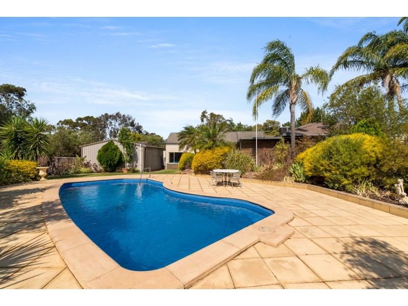 20 Sunnydale Avenue, Gawler East SA 5118