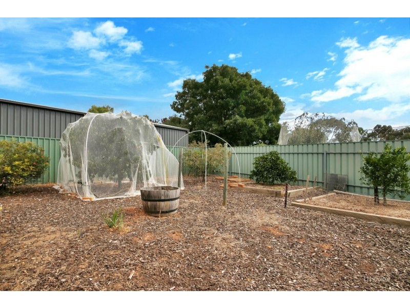 6 Evans Court, Lyndoch SA 5351