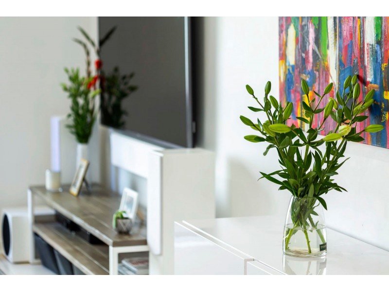 4/135 Sanctuary Drive, Mawson Lakes SA 5095