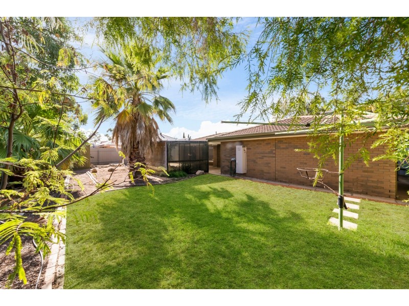 3B Young Terrace, Evanston Gardens SA 5116