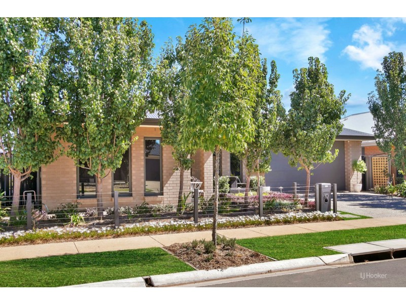 10 McEwen Road, Evanston Gardens SA 5116