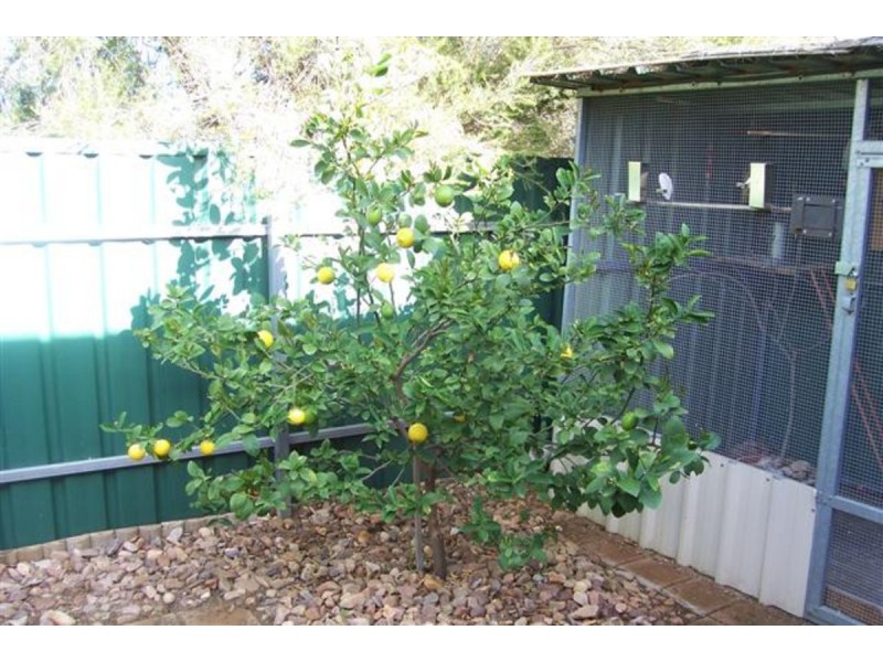 325/3134 Main North Road, Evanston South SA 5116