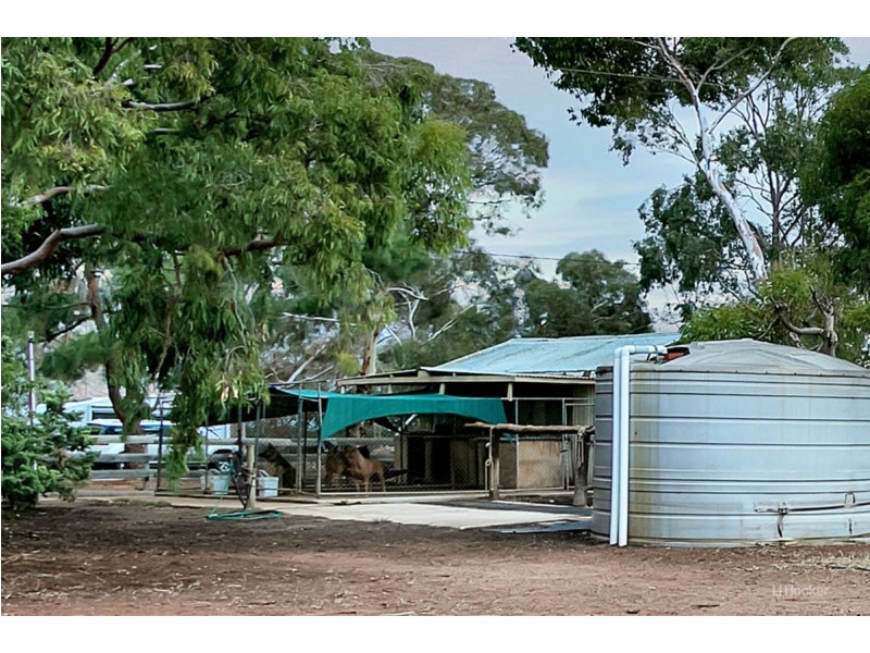 73 Dogleg Road, Fischer SA 5502