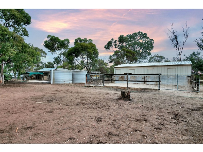 73 Dogleg Road, Fischer SA 5502