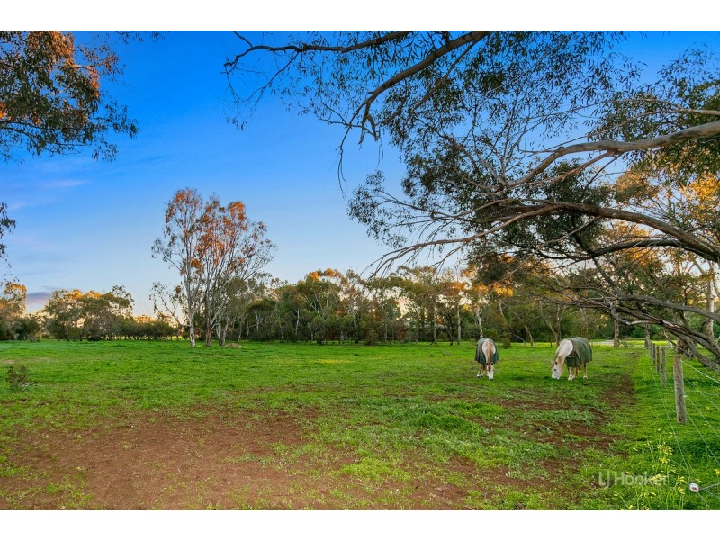 37 Bache Road, Fischer SA 5502