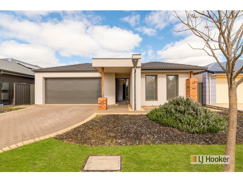 12 Wells Place, Evanston Gardens SA 5116