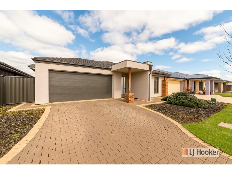 12 Wells Place, Evanston Gardens SA 5116