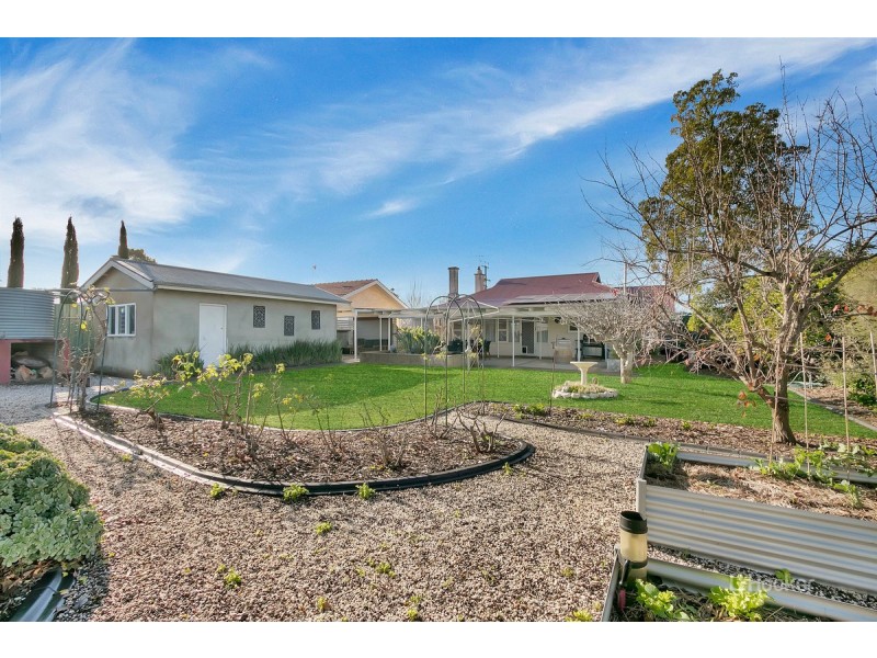 25 Fifth Street, Nuriootpa SA 5355