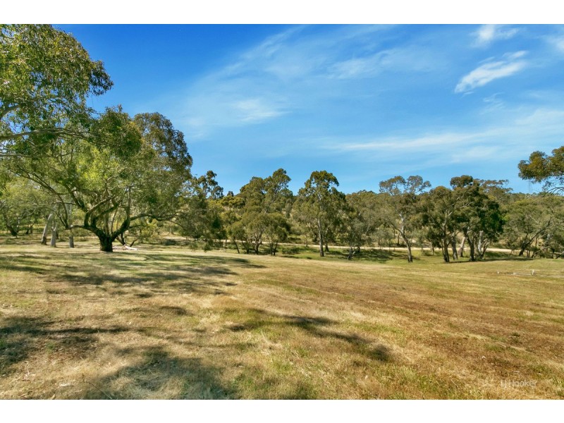 163 Bassnet Road, Humbug Scrub SA 5114