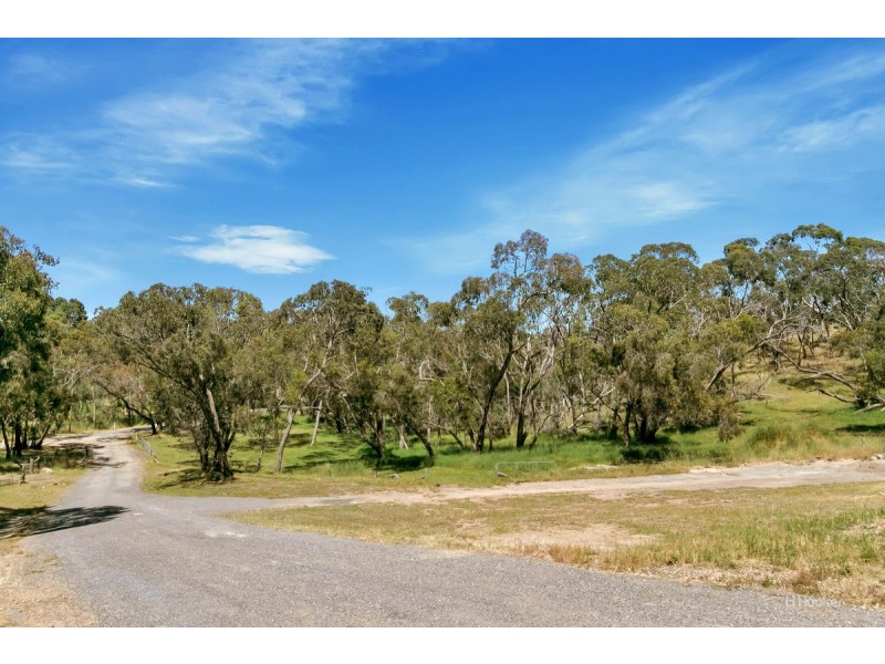 163 Bassnet Road, Humbug Scrub SA 5114