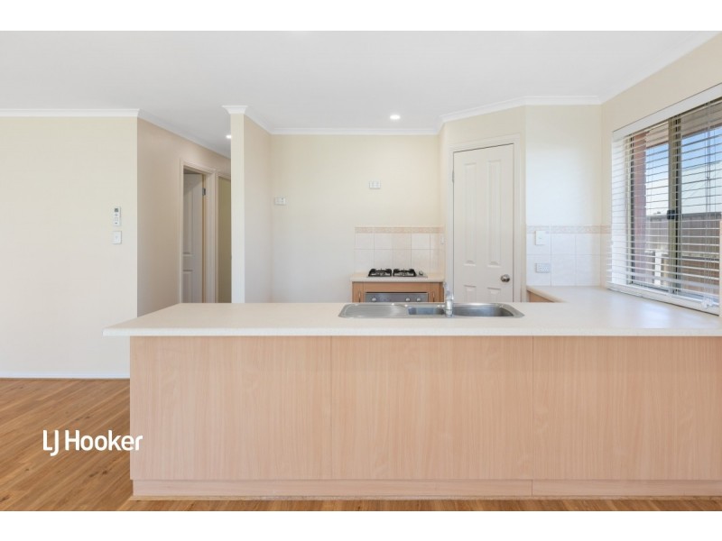 9 Palamountain Drive, Evanston Park SA 5116