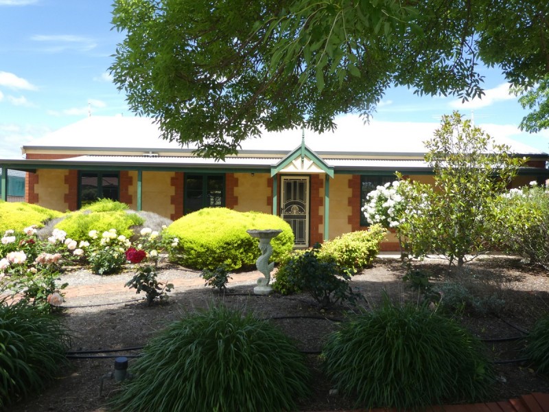 10 Carignane Court, Tanunda SA 5352