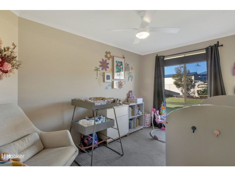 74 Borrow Street, Freeling SA 5372