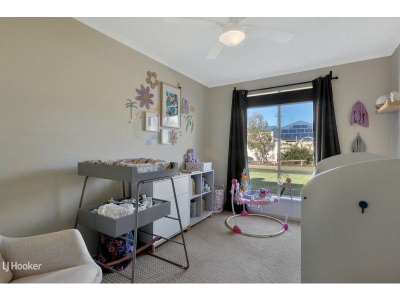 74 Borrow Street, Freeling SA 5372