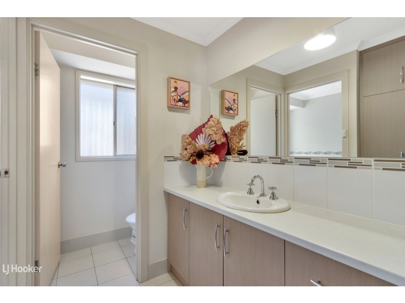 74 Borrow Street, Freeling SA 5372