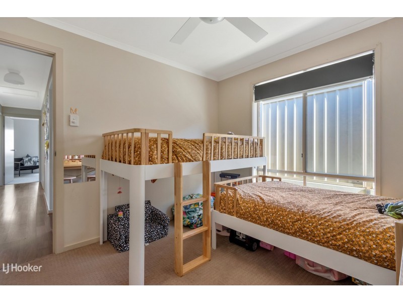 74 Borrow Street, Freeling SA 5372