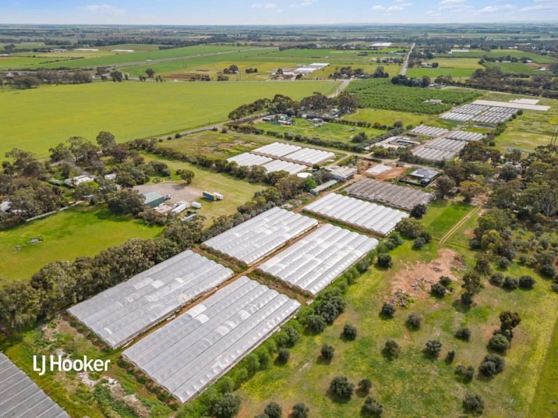 Lot 700/12 Pannan Road, Munno Para Downs SA 5115