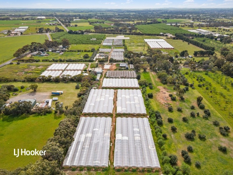 Lot 700/12 Pannan Road, Munno Para Downs SA 5115