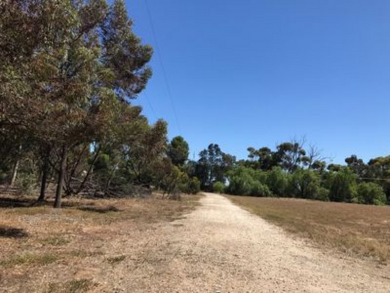 162 Hayman Road, Lewiston SA 5501