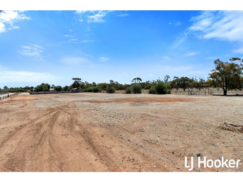Lot 1/14 Ronda Avenue, Roseworthy SA 5371