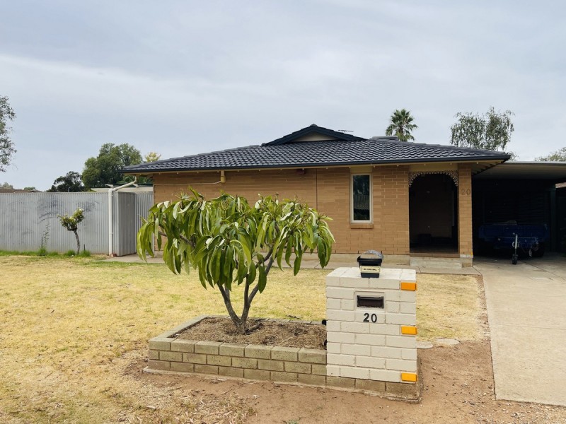 20 Grey Crescent, Evanston Gardens SA 5116