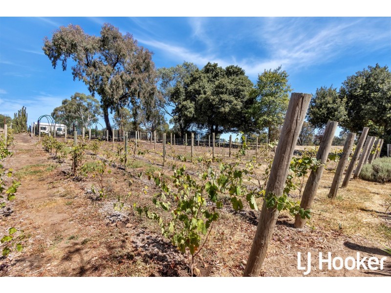 28 Daly Street, Springton SA 5235