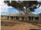 1139 Redbanks Road, Reeves Plains SA 5502