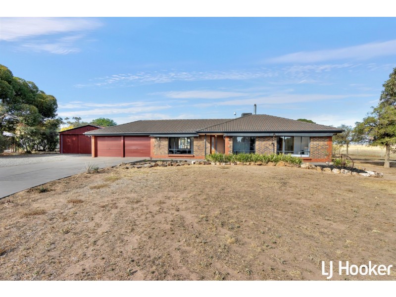 17 Pratt Road, Wasleys SA 5400