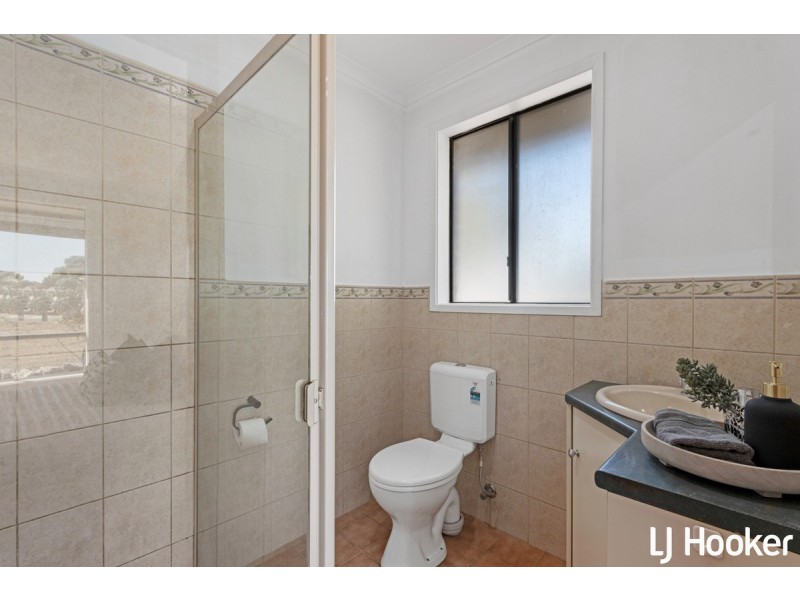 17 Pratt Road, Wasleys SA 5400