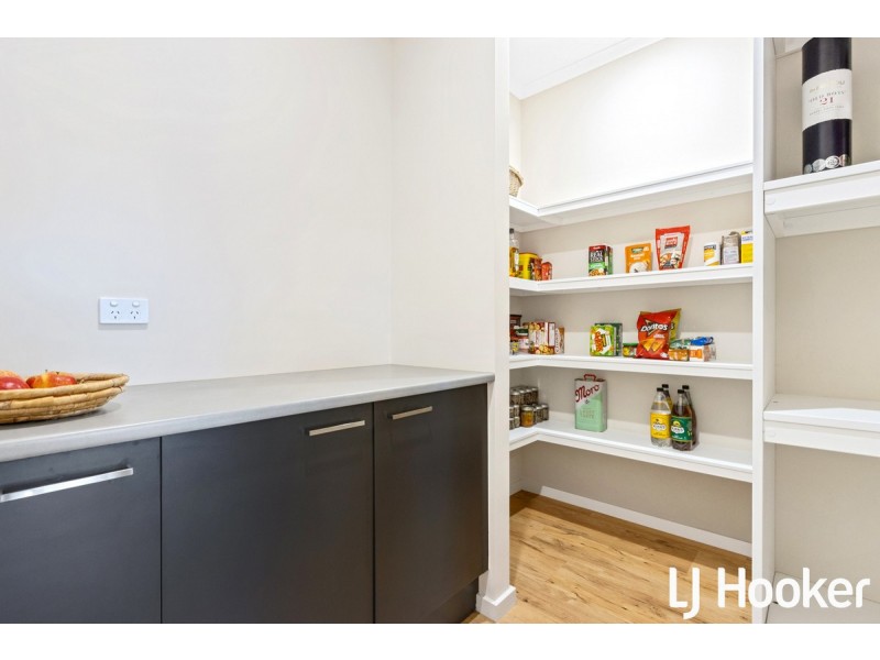 17 Ashwin Street, Angle Vale SA 5117