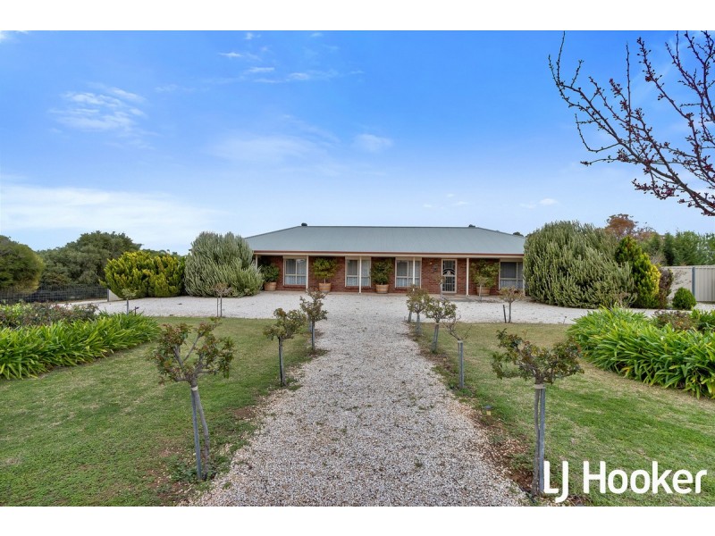 12 Horseshoe Drive, Roseworthy SA 5371