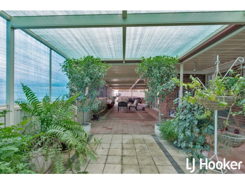 12 Horseshoe Drive, Roseworthy SA 5371