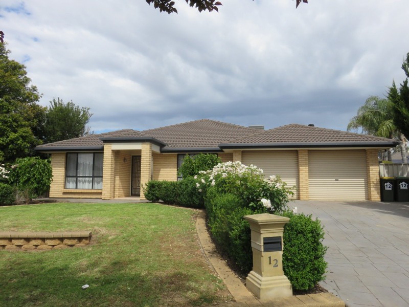 12 Creedon Close, Evanston Park SA 5116