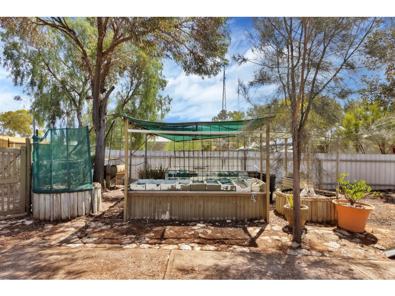 7 Sixth Street, Morgan SA 5320