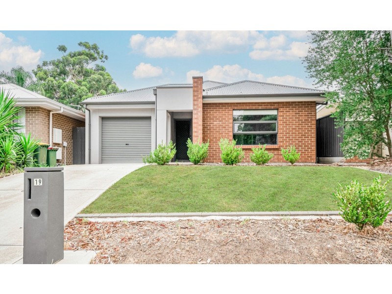 19 Lema Avenue, Fairview Park SA 5126
