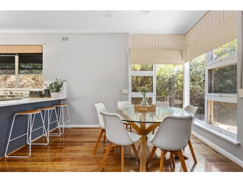 35 Gawler Street, Nuriootpa SA 5355