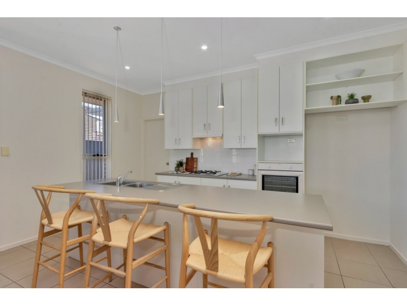 11 Edwin Street, Blakeview SA 5114