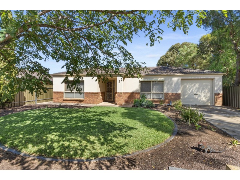3 Cox Court, Evanston SA 5116