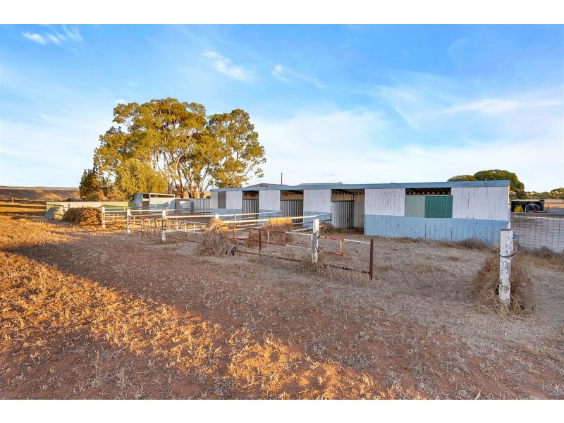 445 Heaslip Road, Penfield SA 5121