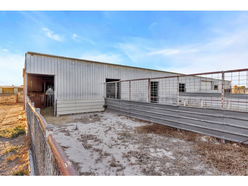 445 Heaslip Road, Penfield SA 5121