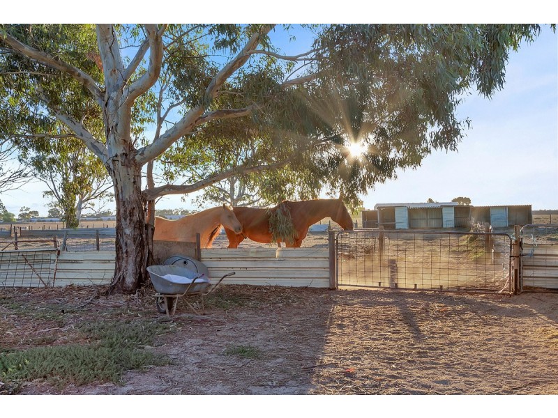 445 Heaslip Road, Penfield SA 5121