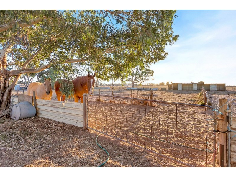 445 Heaslip Road, Penfield SA 5121