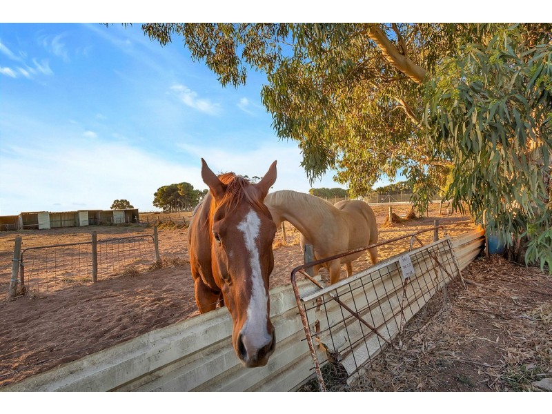 445 Heaslip Road, Penfield SA 5121