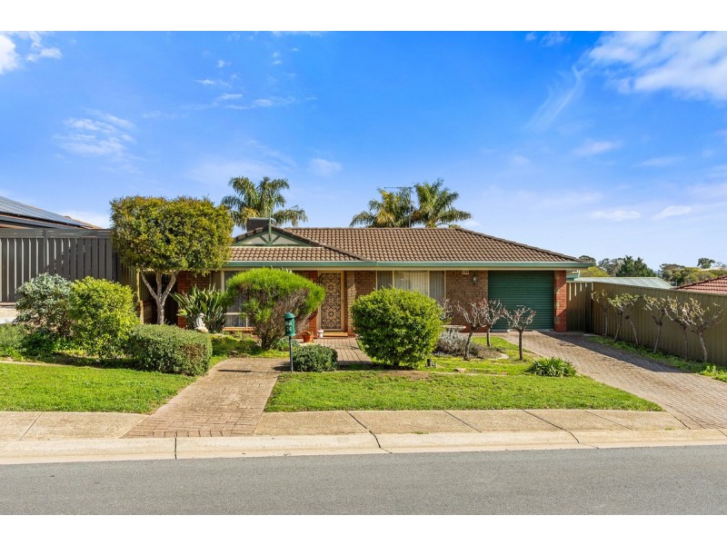24 Walter Grove, Gawler East SA 5118