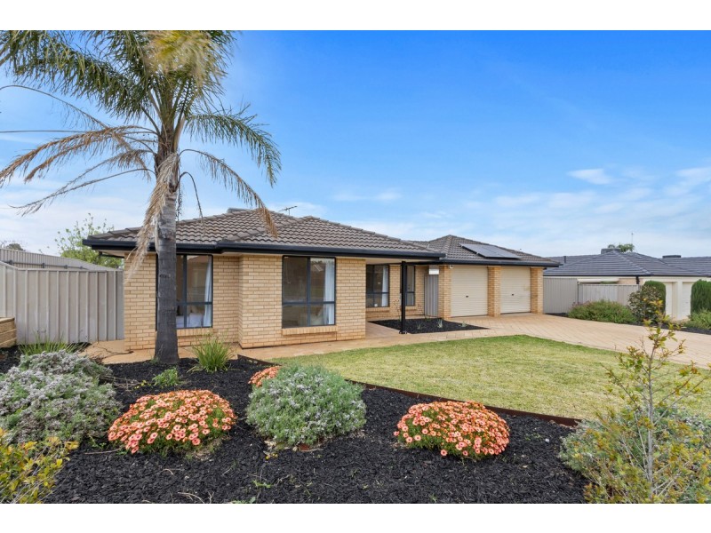 38 Rossiter Drive, Evanston Park SA 5116